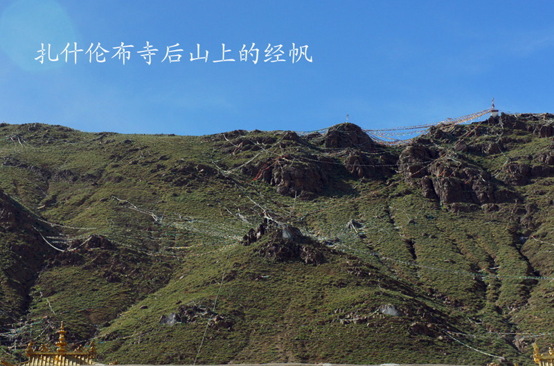 DSC01691_副本.jpg
