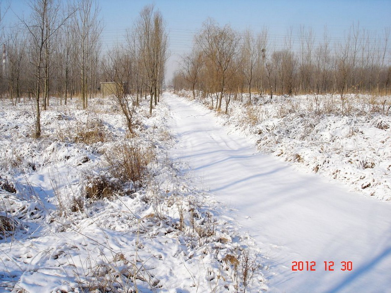 11.jpg
