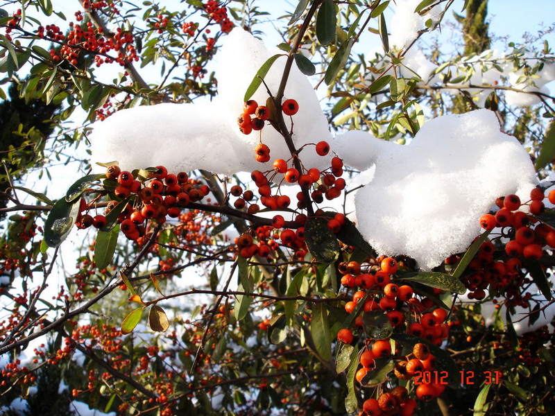 DSC00326.JPG