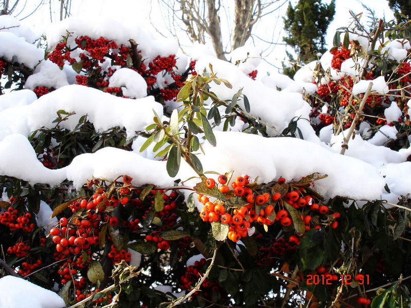 DSC00322.JPG