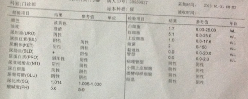 尿常规