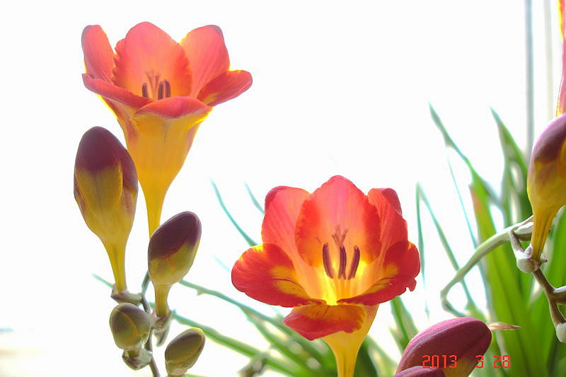 DSC00361.JPG
