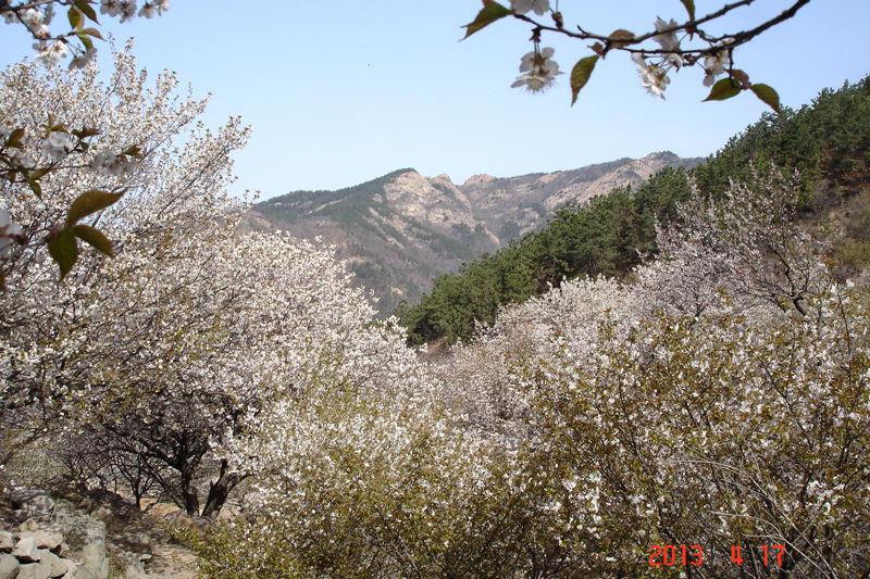 DSC00409.JPG
