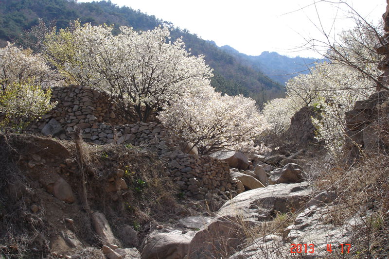 DSC00407.JPG