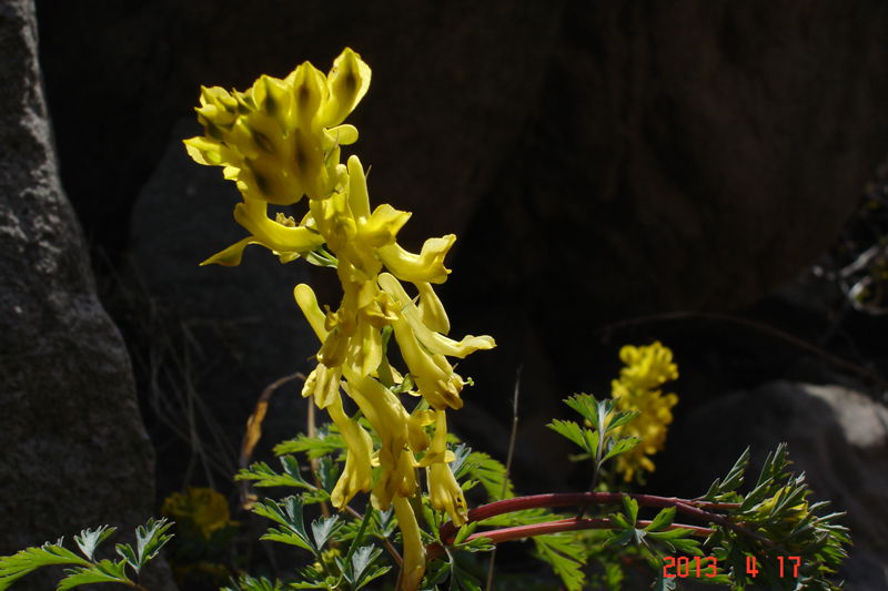 DSC00396.JPG