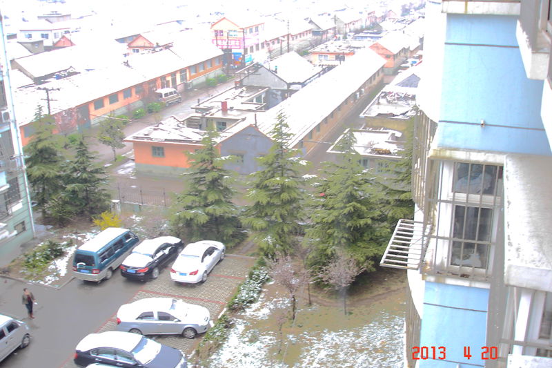 DSC00439.JPG