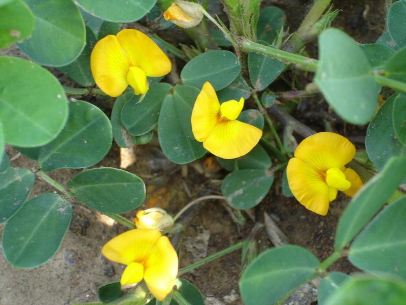 DSC00508_副本.jpg