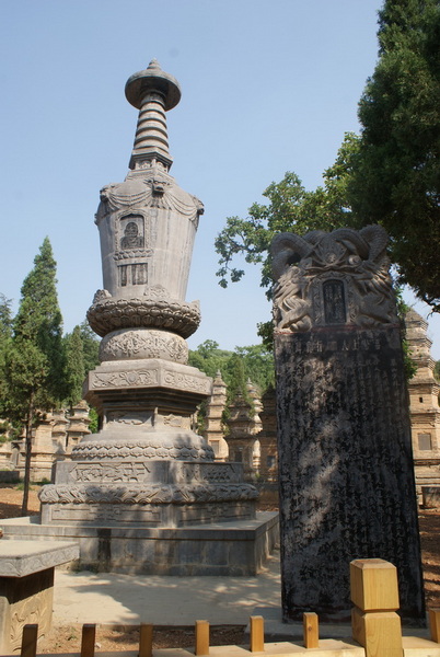 DSC07759_调整大小.JPG