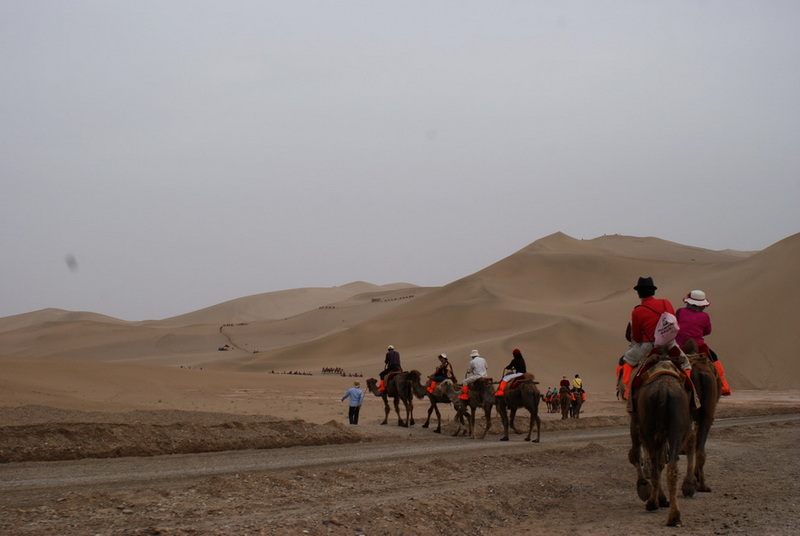 DSC08723_调整大小.jpg