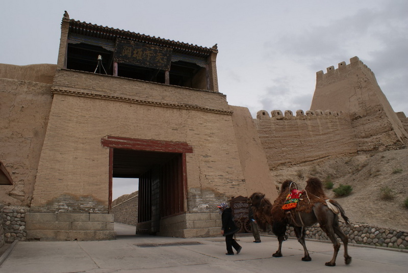 DSC08766_调整大小.JPG