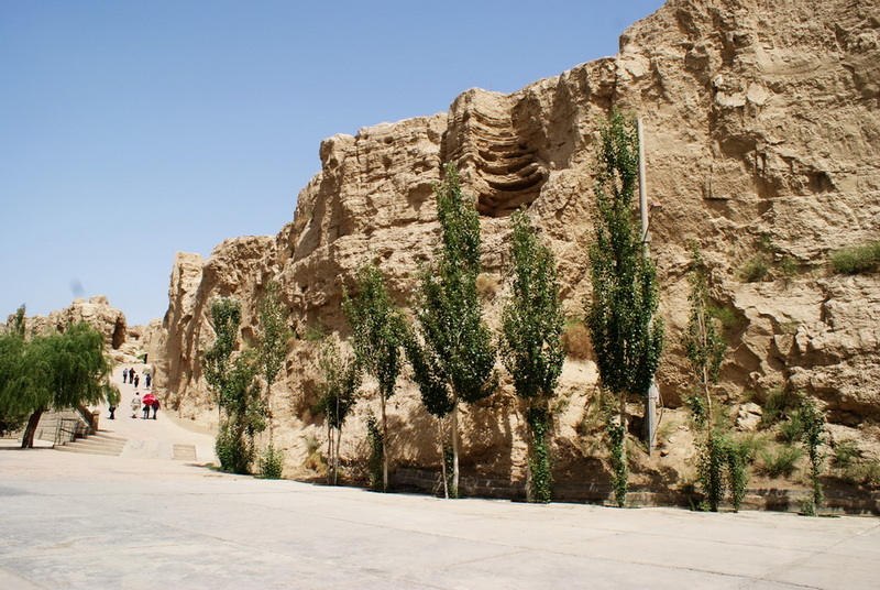 DSC08486_调整大小.jpg