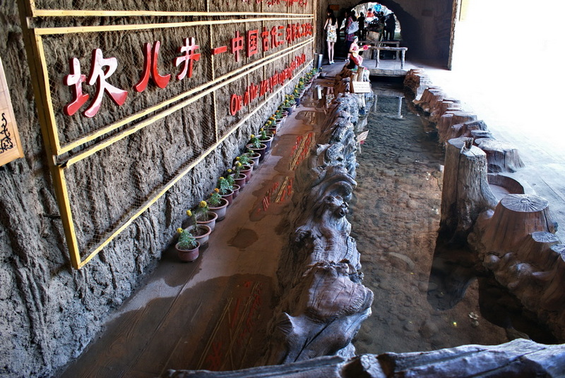 DSC08532_调整大小.JPG