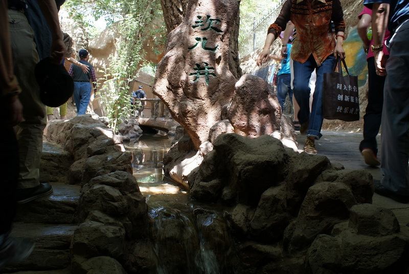 DSC08539_调整大小.JPG