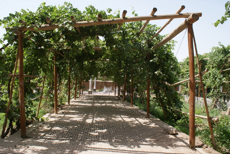 DSC08586_调整大小.JPG