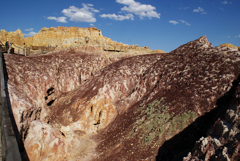 DSC08446_调整大小.jpg