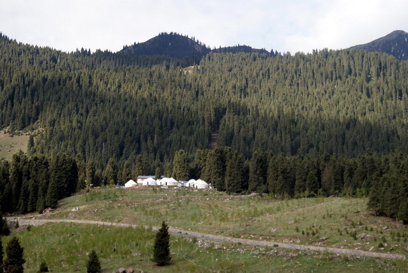 DSC07984_调整大小.jpg