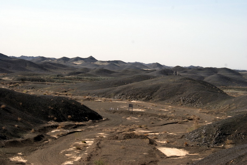 DSC07878_调整大小.jpg