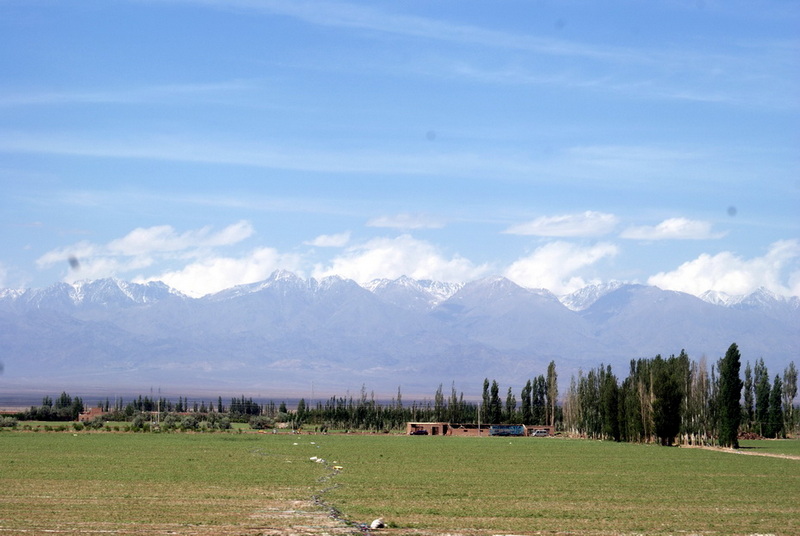 DSC07896_调整大小.jpg
