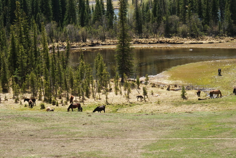 DSC08105_调整大小.jpg