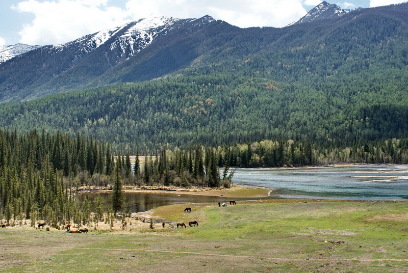 DSC08106_调整大小.JPG
