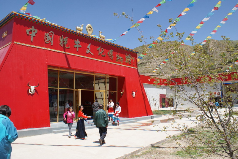 DSC08991_调整大小.JPG