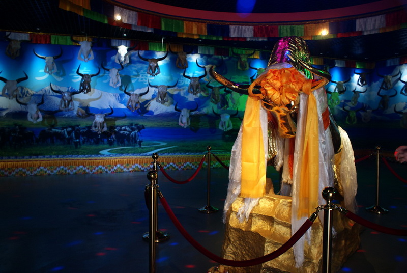 DSC08992_调整大小.JPG