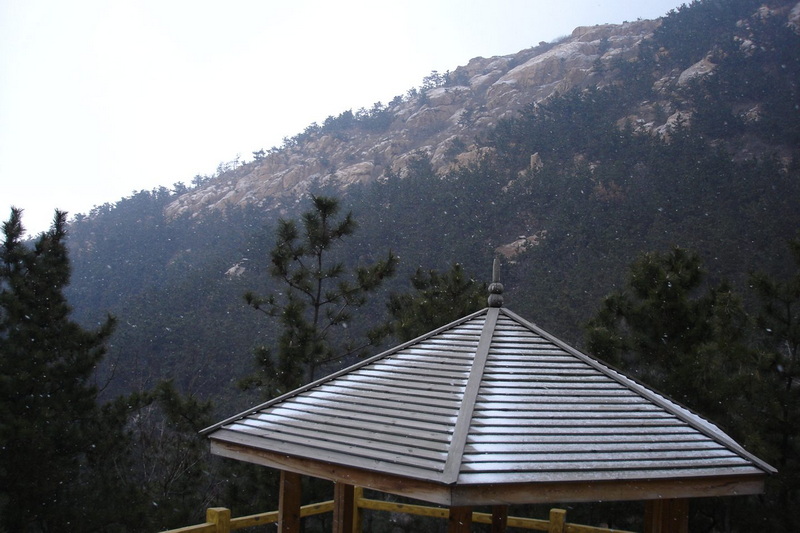 DSC00784.JPG