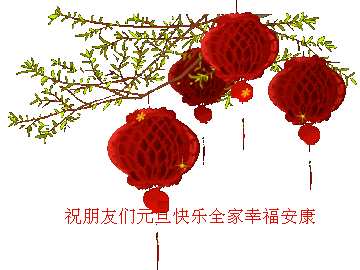 2011123119283124.gif