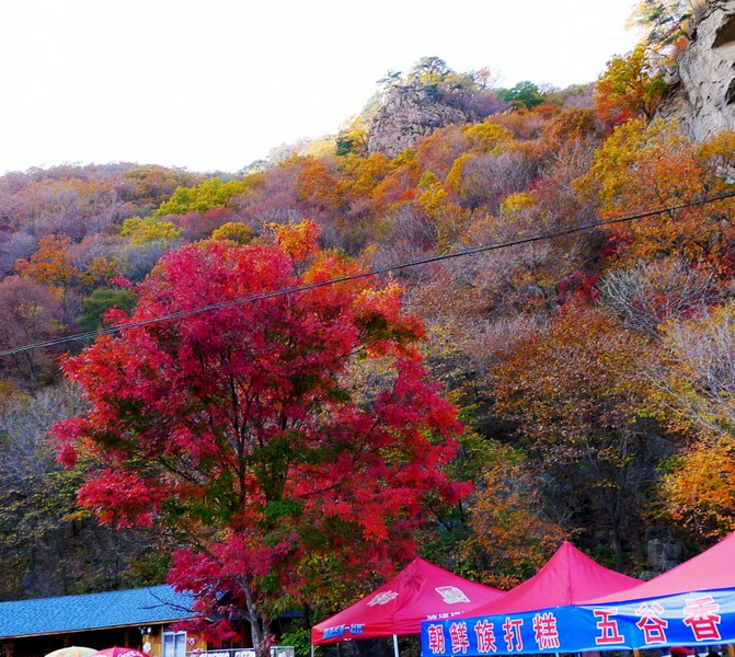 P1070939.jpg