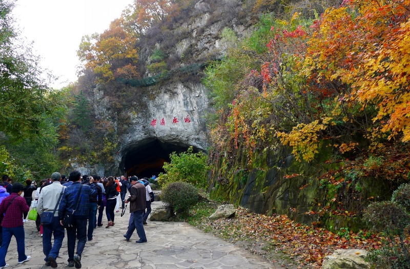 P1070794.jpg
