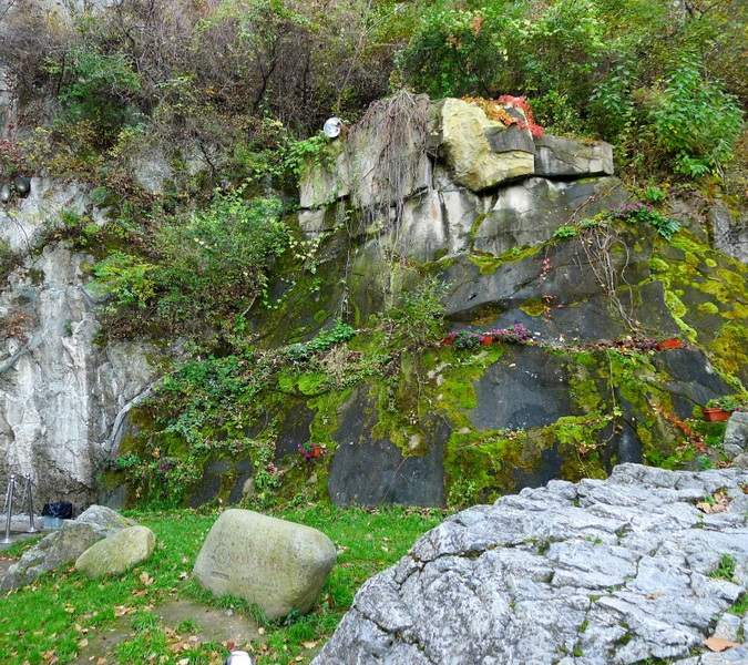 P1070800.jpg
