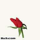79375943433702301.gif