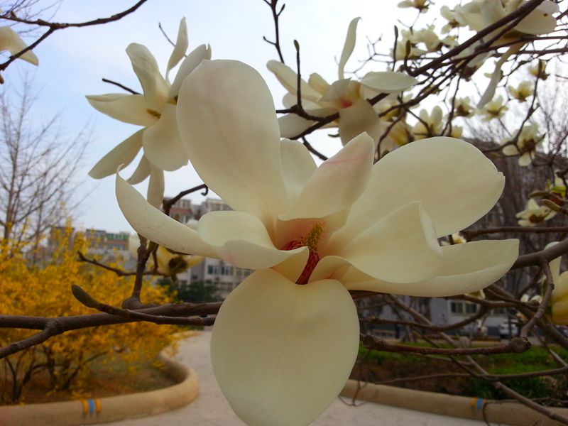 20130412_155221(1)_副本.jpg