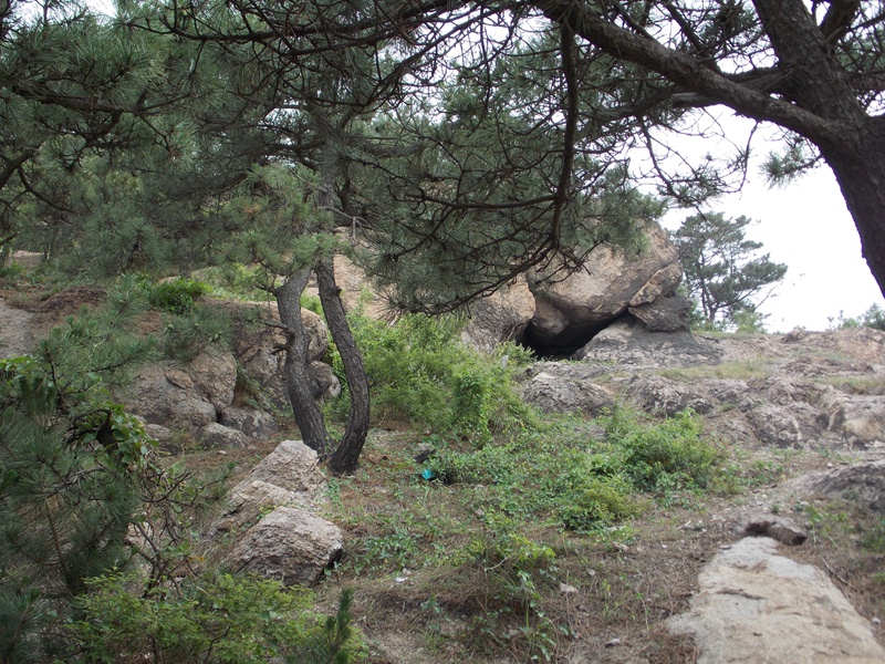 DSCN0853_疑似老虎洞.jpg