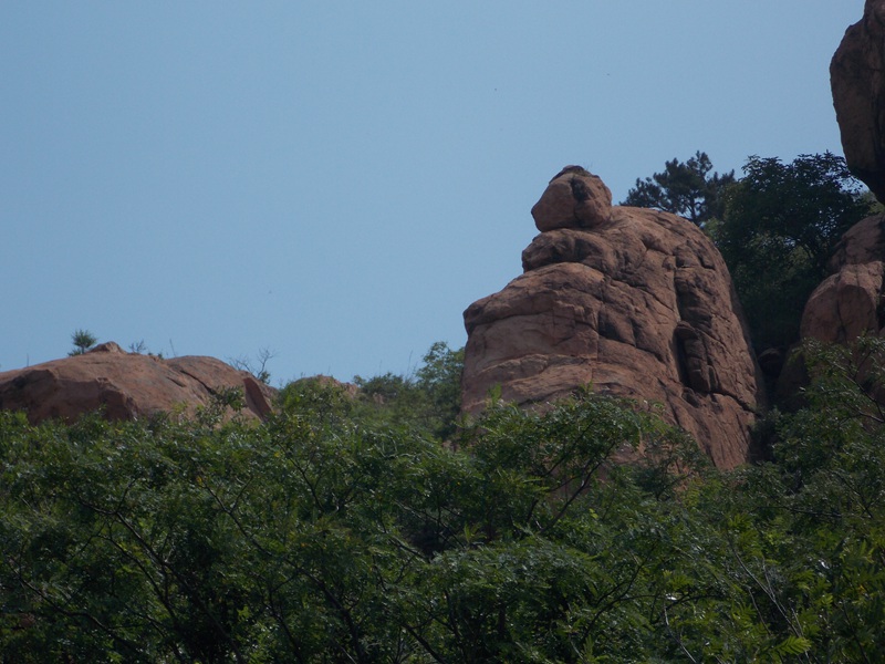 DSCN1022.JPG