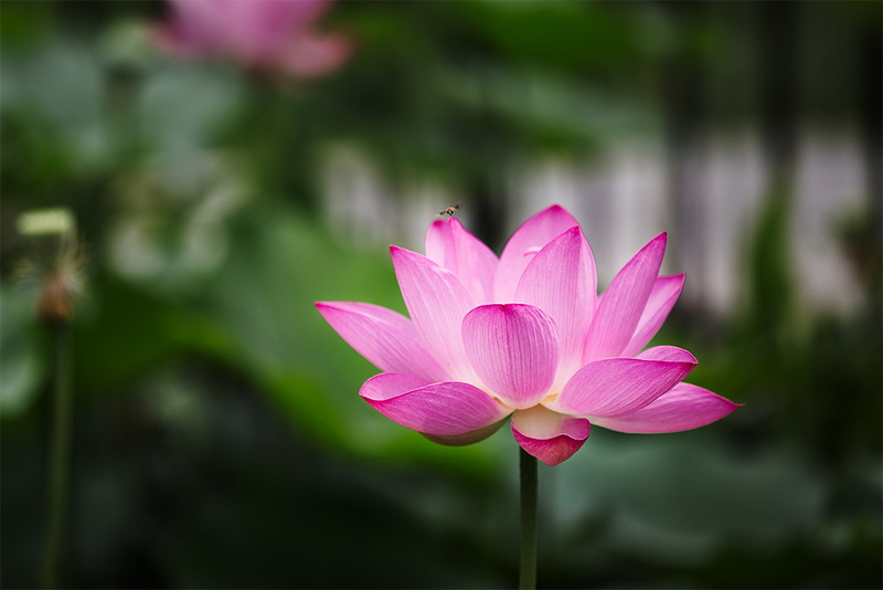 ““_R3A6542”为智能对象-1”为智能对象-1.jpg