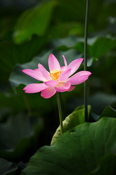 “_R3A6405”为智能对象-1.jpg