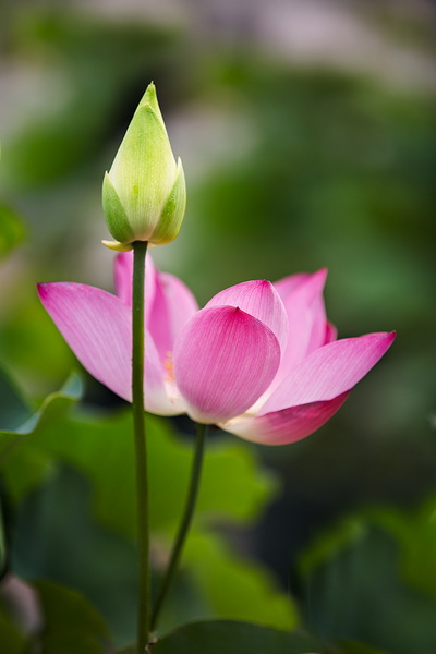 “_R3A6505”为智能对象-1.jpg