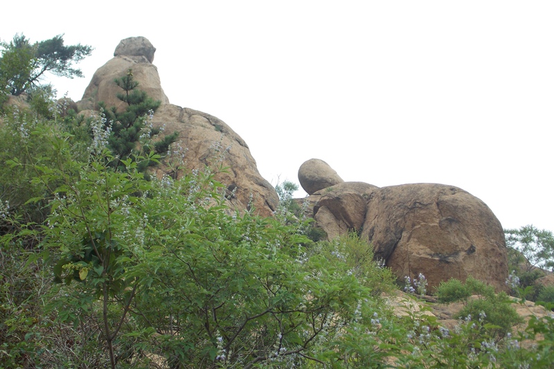 DSCN1202老龟上山.JPG