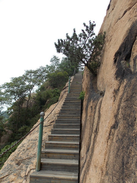DSCN1222登山木栈道.JPG