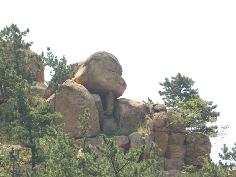 DSCN1355.JPG