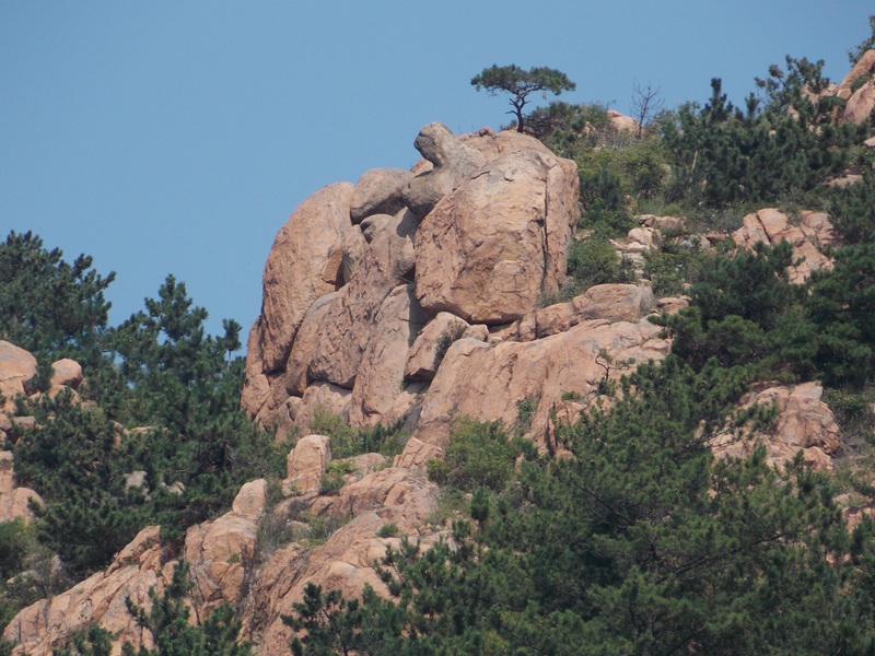 DSCN1315.JPG