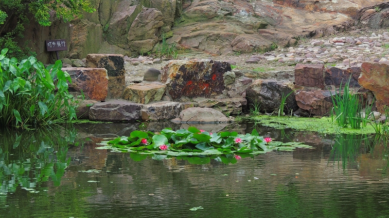 DSCN5838.jpg