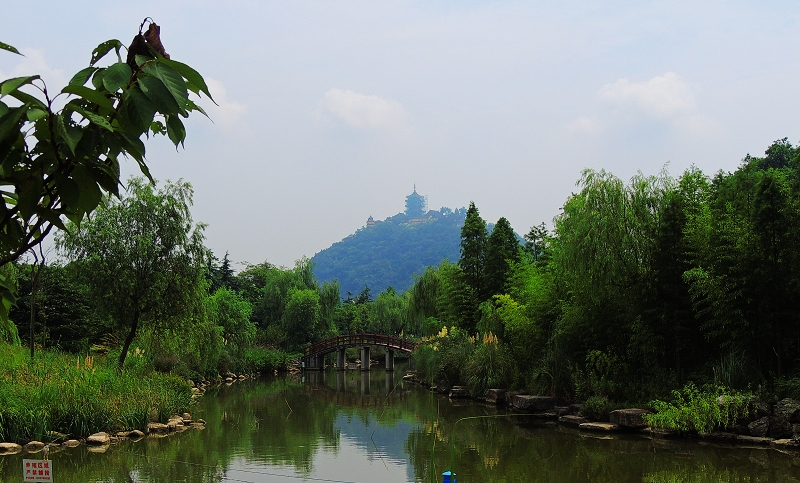 DSCN5806.jpg