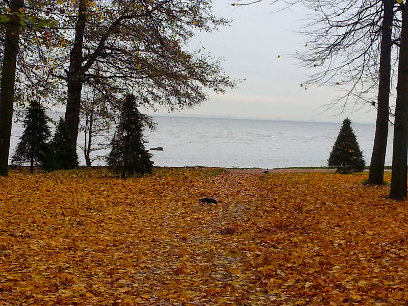20141014_162655.jpg