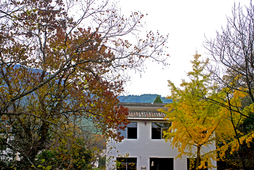 _DSC0999.jpg