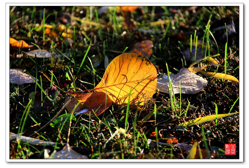 IMG_5038.jpg