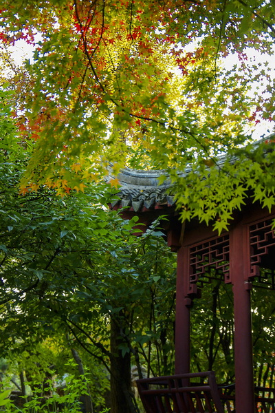 IMGP3921.jpg