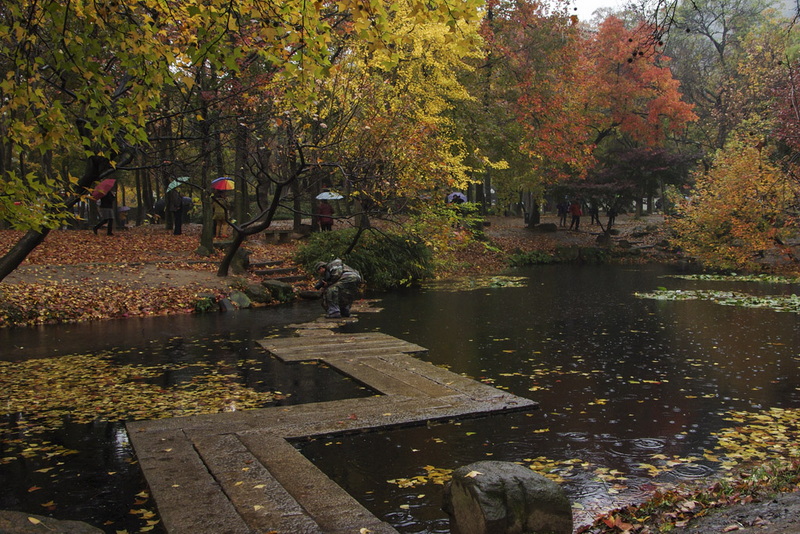 IMGP4249.jpg