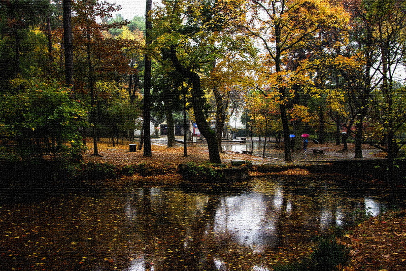 IMGP4298.jpg